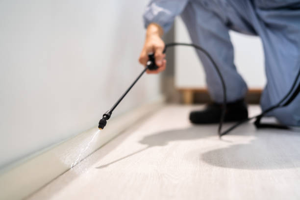 Licensed Termite Control service in Lincoln County County, KS - Nex Pest Control