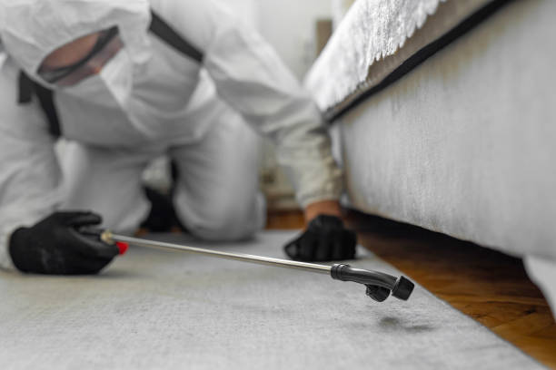 Professional Termite Control technician working in Lincoln County County, KS